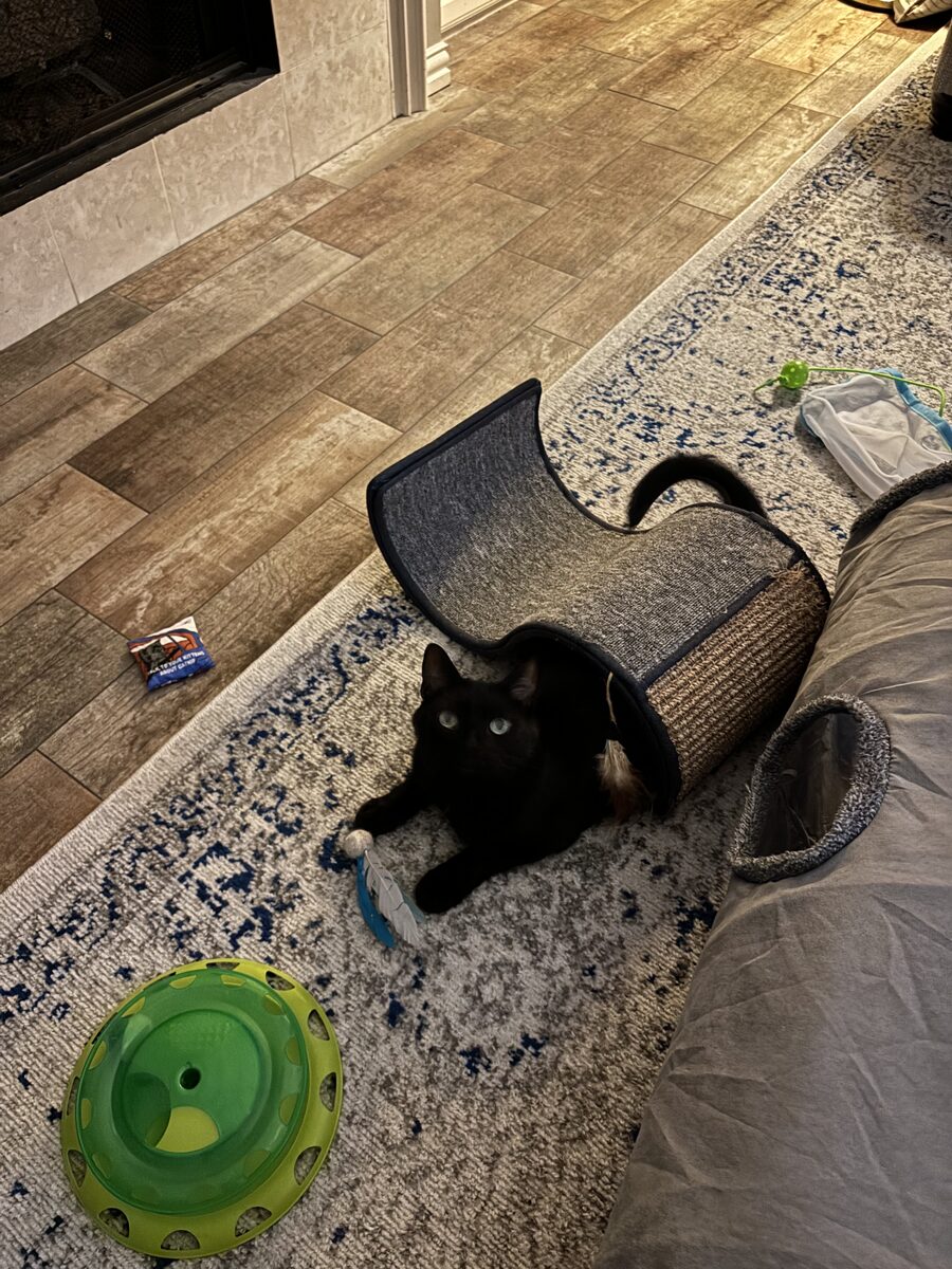 Photo of Athos