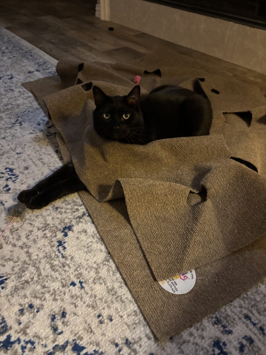 Photo of Athos