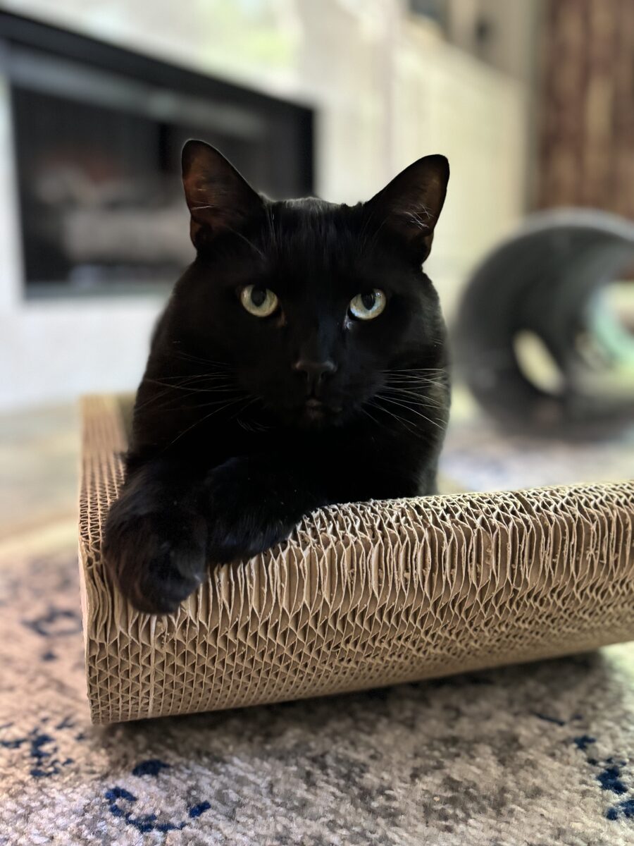 Photo of Athos